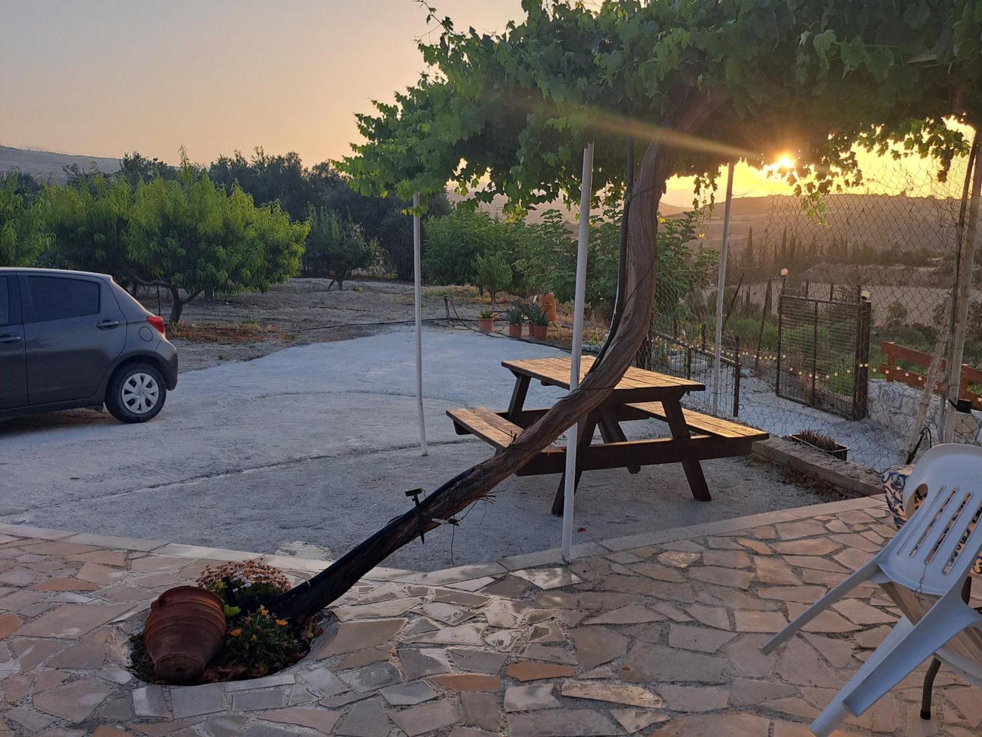 Andria Villa Peristerona  Bagian luar foto